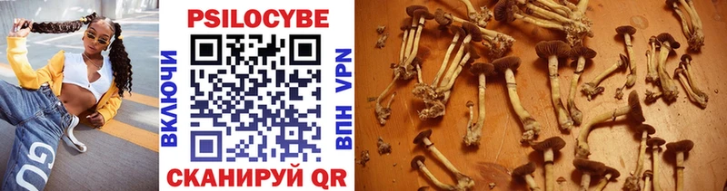 Галлюциногенные грибы Cubensis  Купить где  Великие Луки 