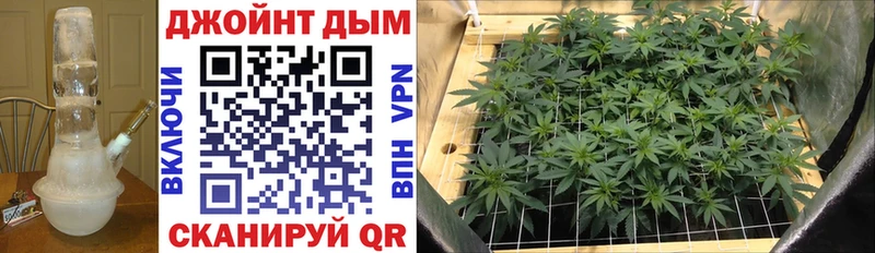 Купить закладки  Великие Луки  Бошки Шишки планчик 